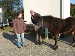 Reit- und Therapiehof Fischer