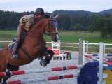 E_Gudrun_Savi