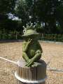 M_Froschkönig