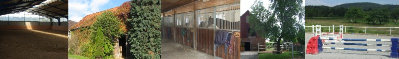 Reitstall_Scheden