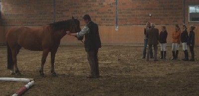 Reit- und Therapiehof Fischer