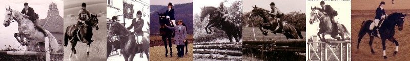 Reitstall_Scheden